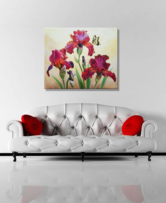 "Bright colors of summer", red irises with butterfly