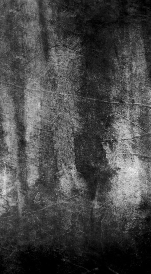 The Walk.. by PHILIPPE BERTHIER