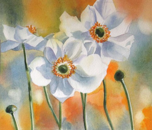A painting a day #24 "Autumn anemone" by Alfred  Ng
