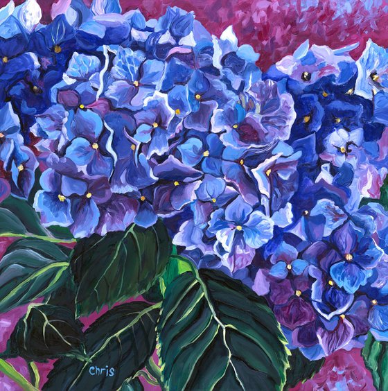 Blue Hydrangeas II