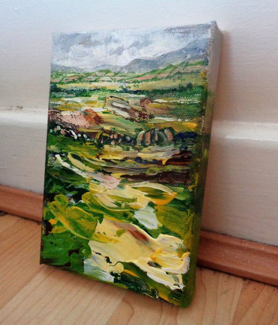 Miniature study Anglesey countryside. landscape, acrylic painting, fields