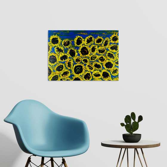 Blooming sunflowers 6