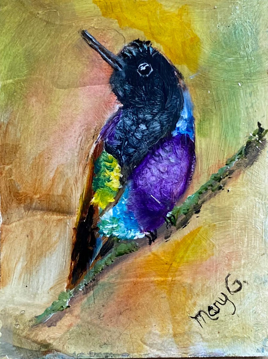 Black Throated Violet Fronted Hummingbird Original Oil on gessoed masonite 5x7 gold frame by Mary Gullette