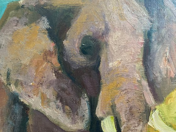 Elephant By The River