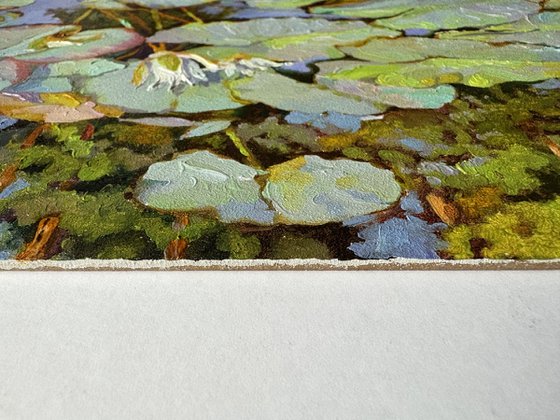 Summer pond.