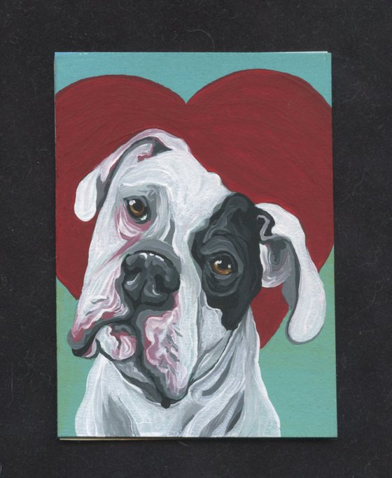 ACEO ATC Original Painting American Bulldog Valentine Pet Dog Art-Carla Smale