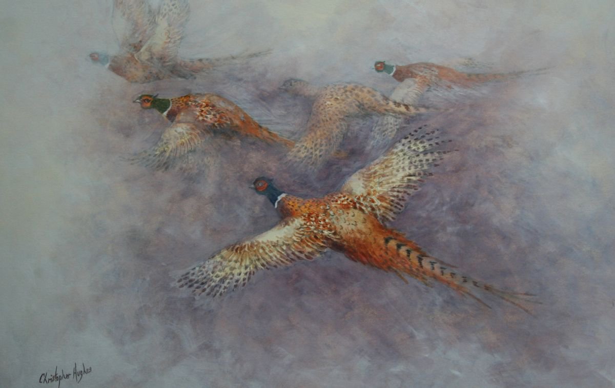 Flight of the Pheasants by Christopher Hughes