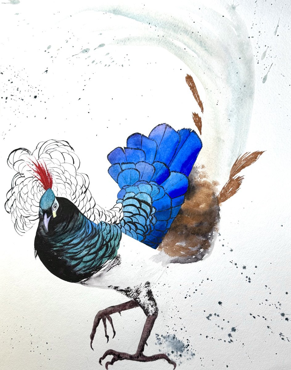 Animal Watercolour By Yuliia Sharapova, 17 X 21", Lady Amherst