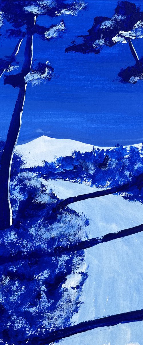 The white mountain by Cadiou Frederic