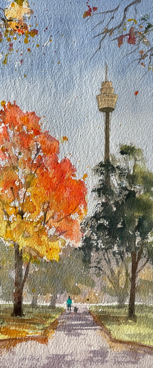 Autumn colours in Sydney CBD by Shelly Du