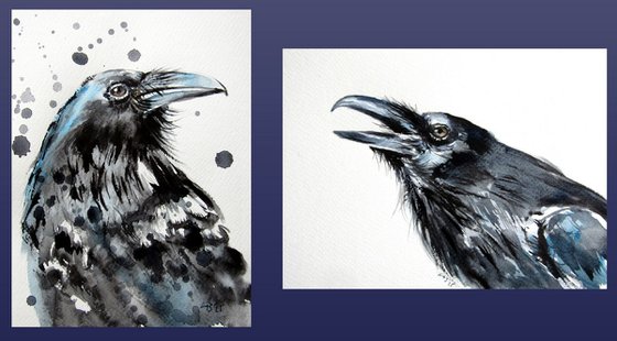 Crow collection