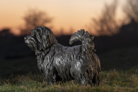 Norfolk Terrier Bronze Resin