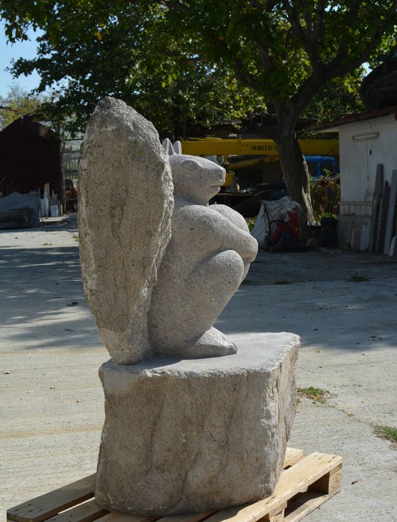 "Squirrel"