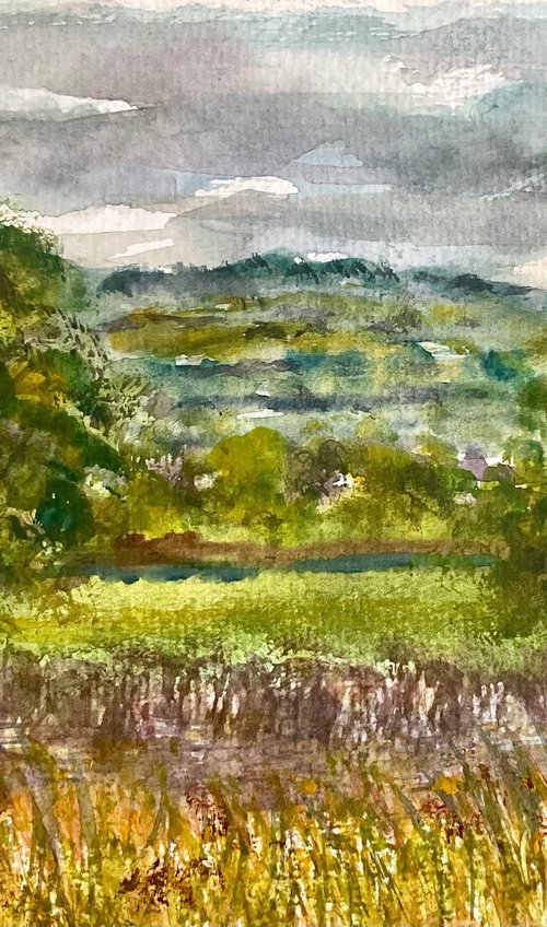 Summer pastures by Samantha Adams
