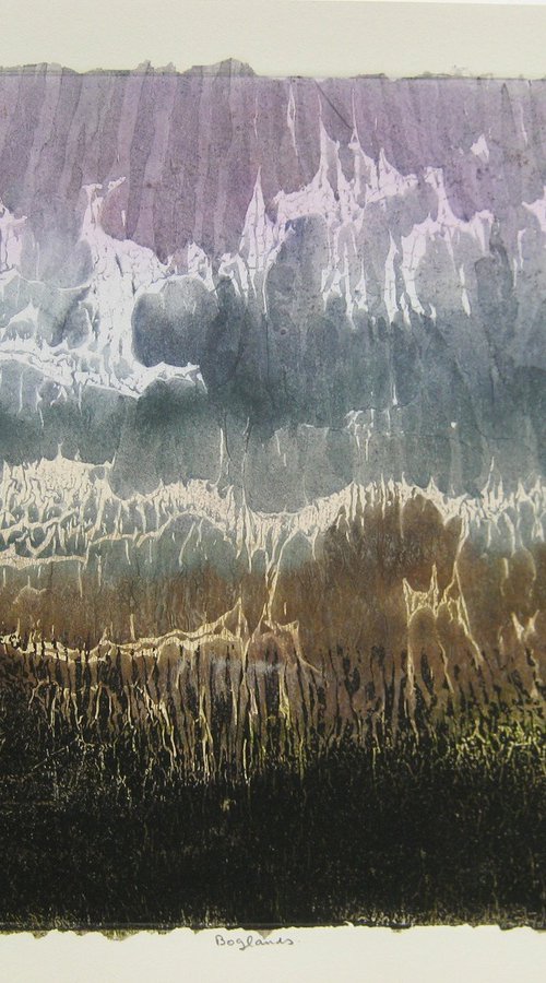 Bogland by Aidan Flanagan Irish Landscapes