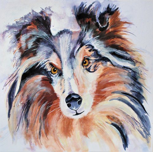 Long Haired Collie 2 by Max Aitken