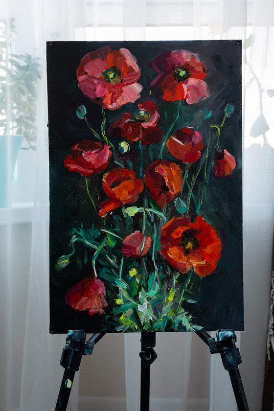 Red poppies