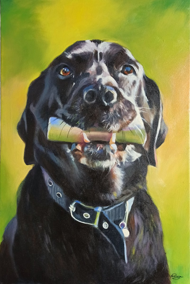 Portrait of a dog II by Magdalena Palega