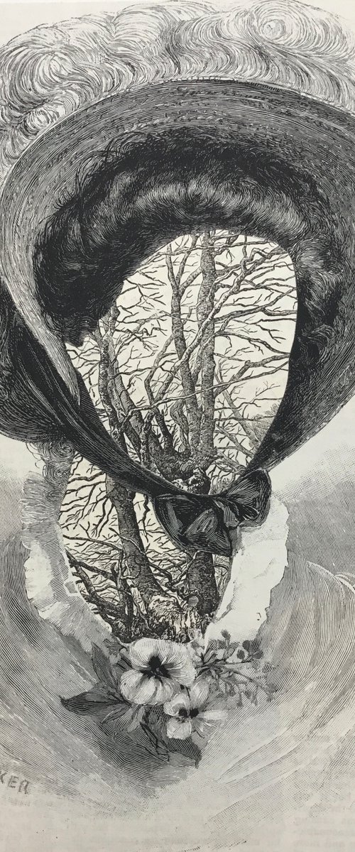 Veins and Arteries by Tudor Evans