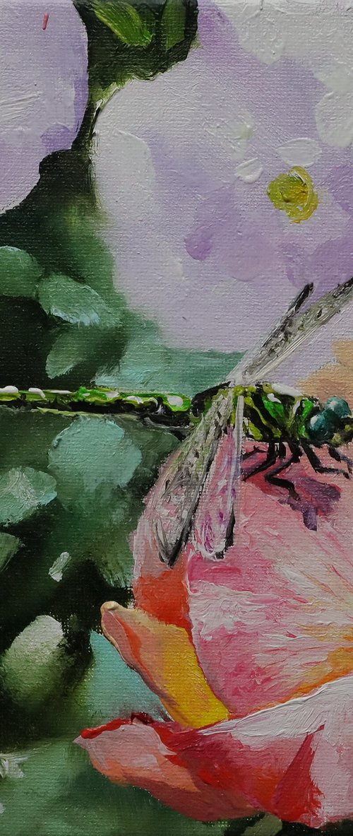 Dragonfly on Pink Rose by Natalia Shaykina