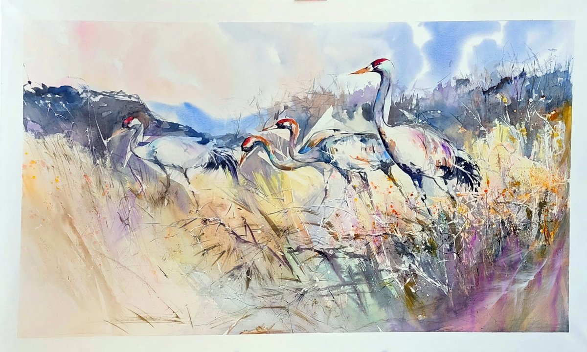 BETWEEN GRASSES by Maylu Garci?a