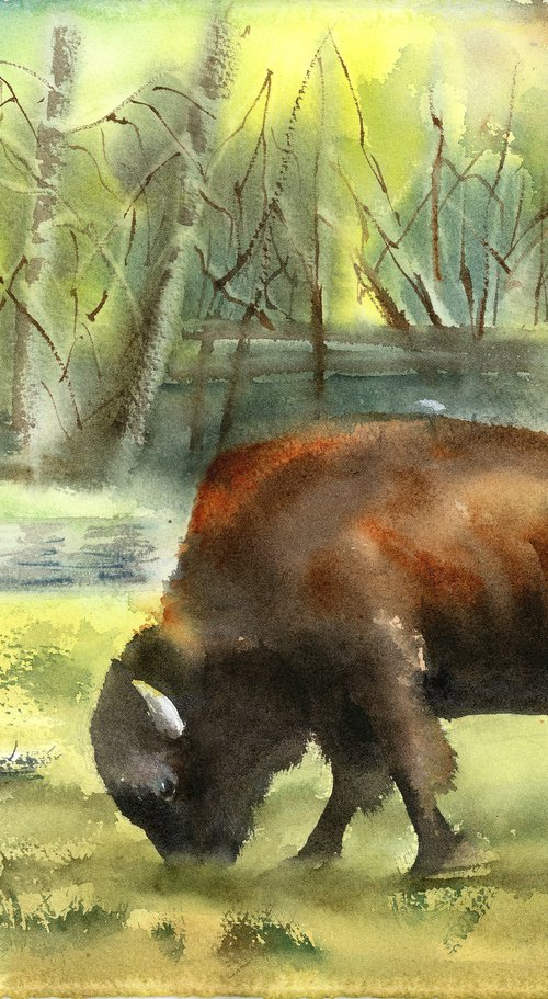 Bison in the Forest by Olga Tchefranov (Shefranov)