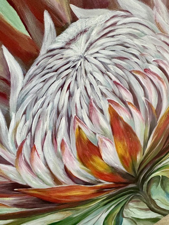 “Flame of Life – King Protea”