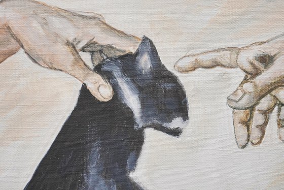 The Creation Of Purr