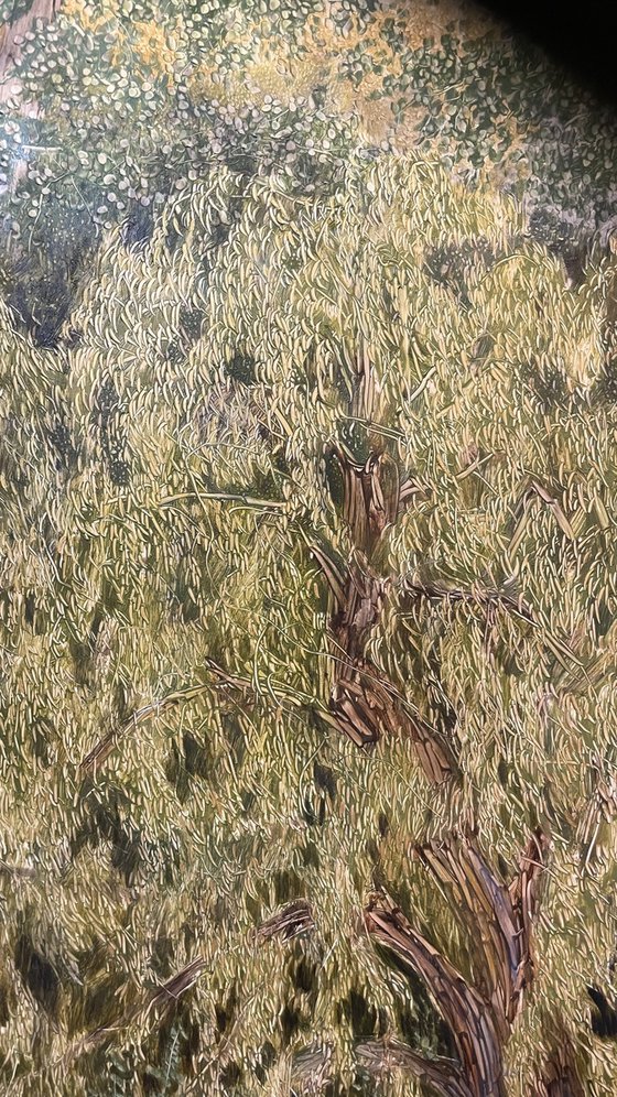 Golden Willows