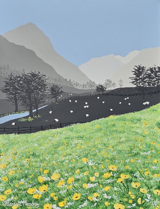 Patterdale Meadow