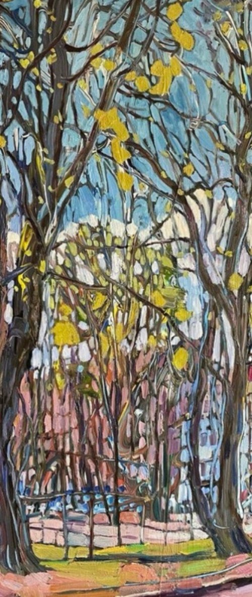 Spring in the city by Nadezda Stupina