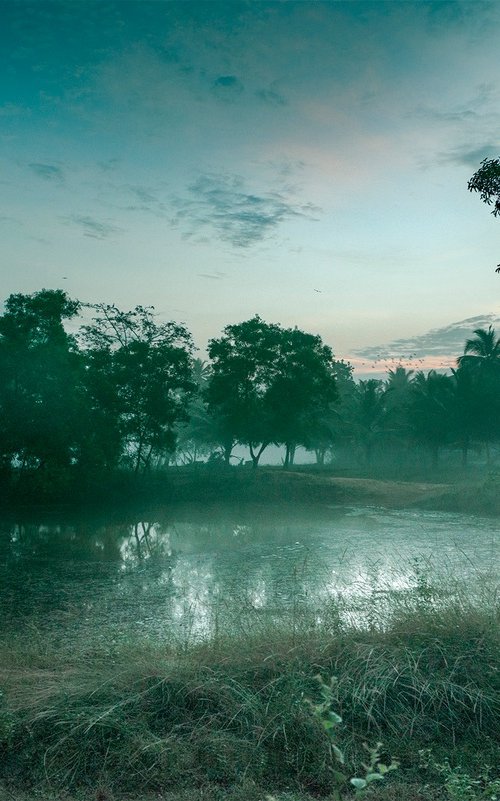 The Watering Hole by Adam Regan