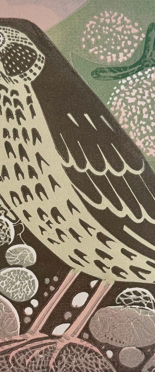 Brief Encounter by Amanda Ribbans