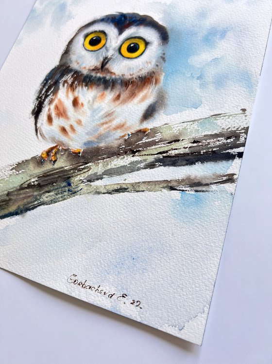 Little owl on a branch #14