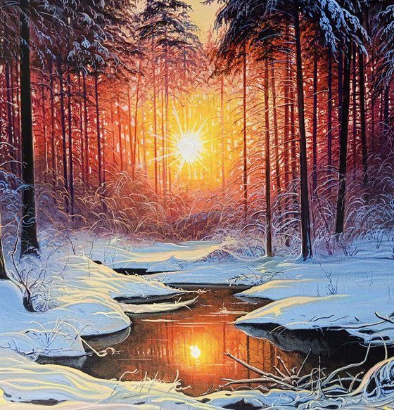 Sunrise in the Frozen Forest