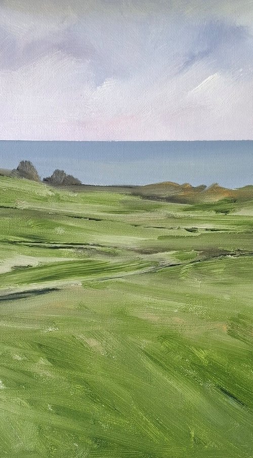 To the Irish Sea by John Halliday