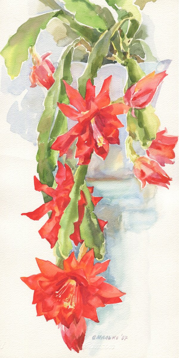 Impressionistic Botanical Watercolour By Olha Malko, 10 X 20", Red Flower Orchid Cactus, Original Artwork