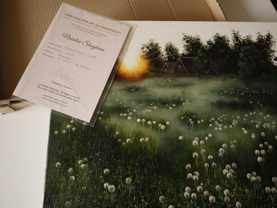 Dandelion Meadow at Sunrise