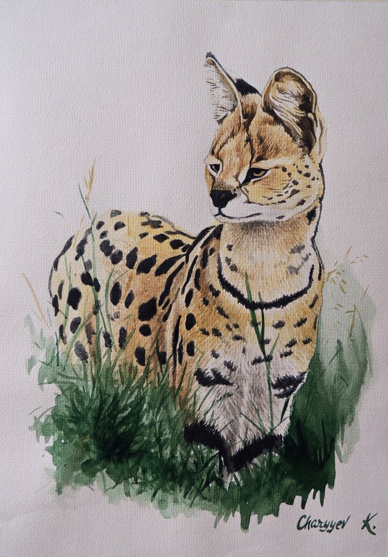 Serval