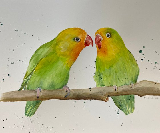 Love birds