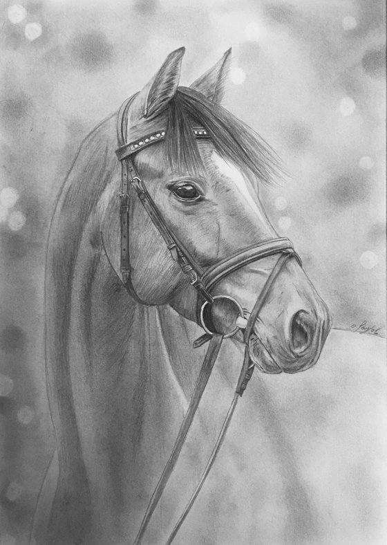 Horse cheap pencil drawing