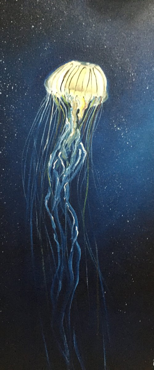 Jellyfish by Timea  Valsami