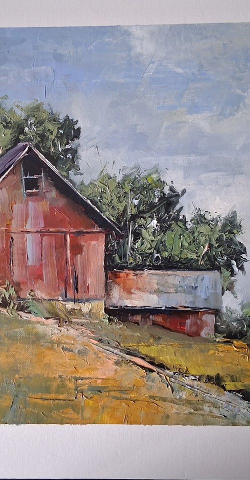 Iowa Barns by Brian Parr