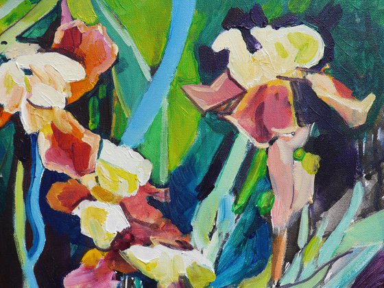 Irises, evening time
