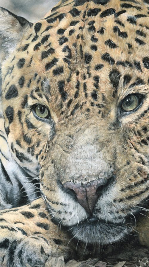 Thoughts are free by Annika Schmitt