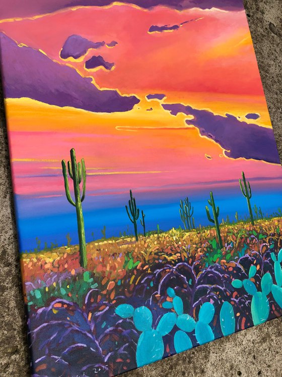 Warm sunset in desert