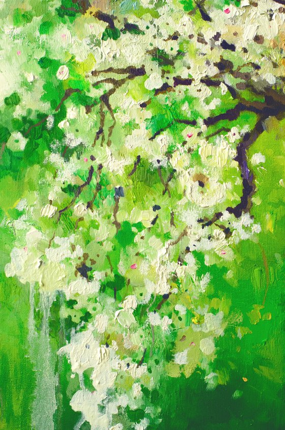 Whispers of Blossom Light