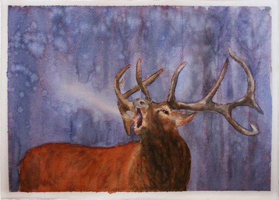 Deer / Original Painting / graceful animal / / color harmony of watercolor / a gift for you