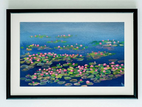 Pink water lilies bunch