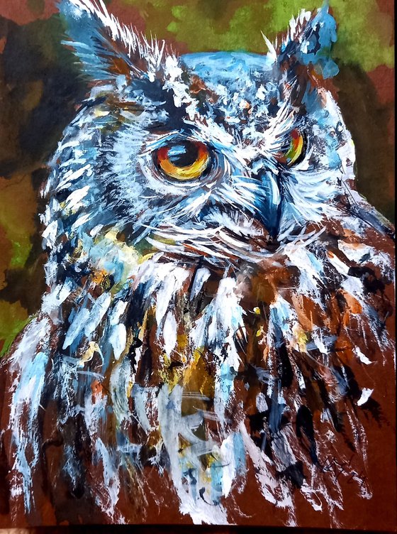 Owl portrait